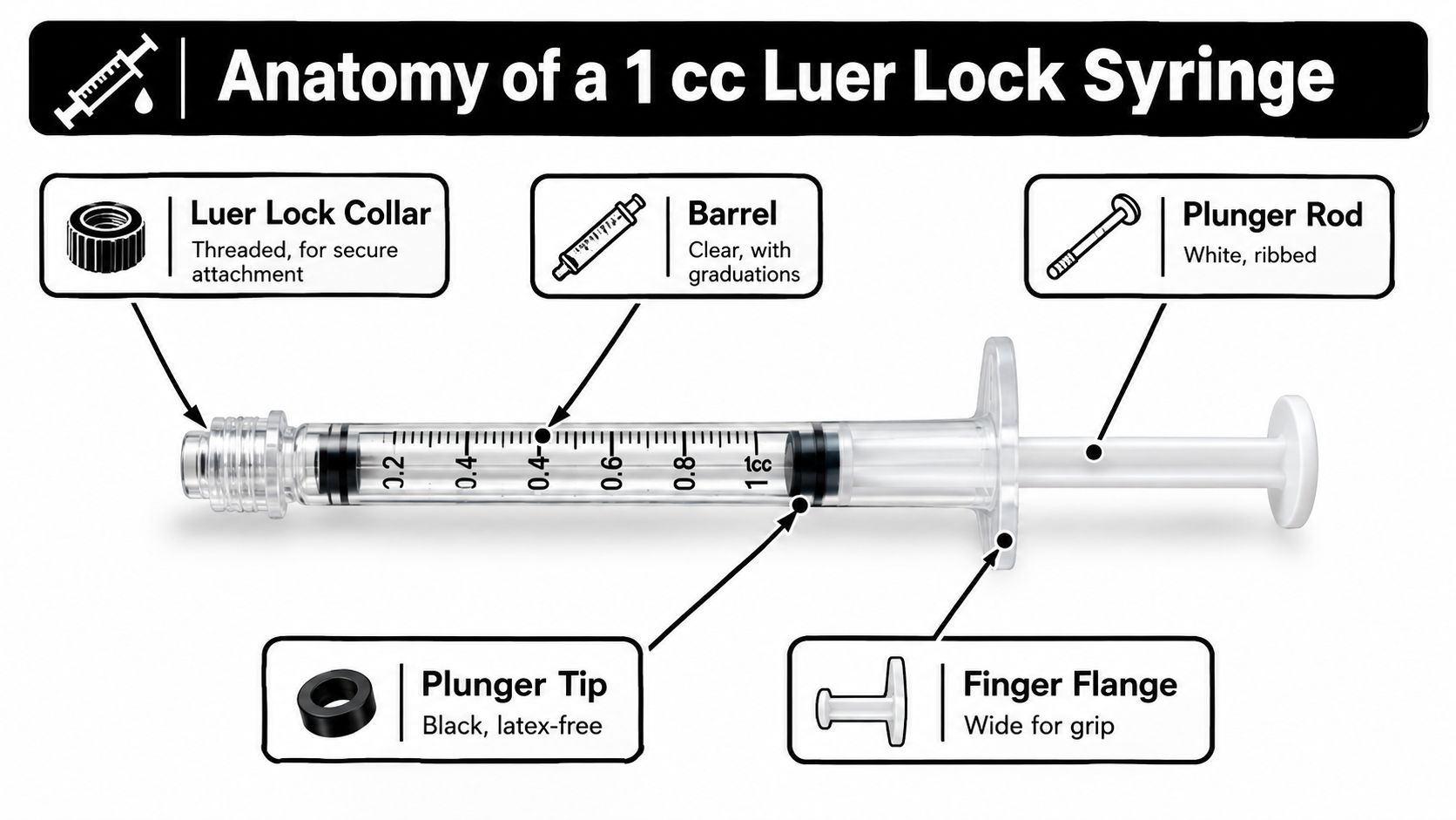 A diagram illustrating the anatomy of a 1 cc Luer lock syringe, labeling its essential component parts.