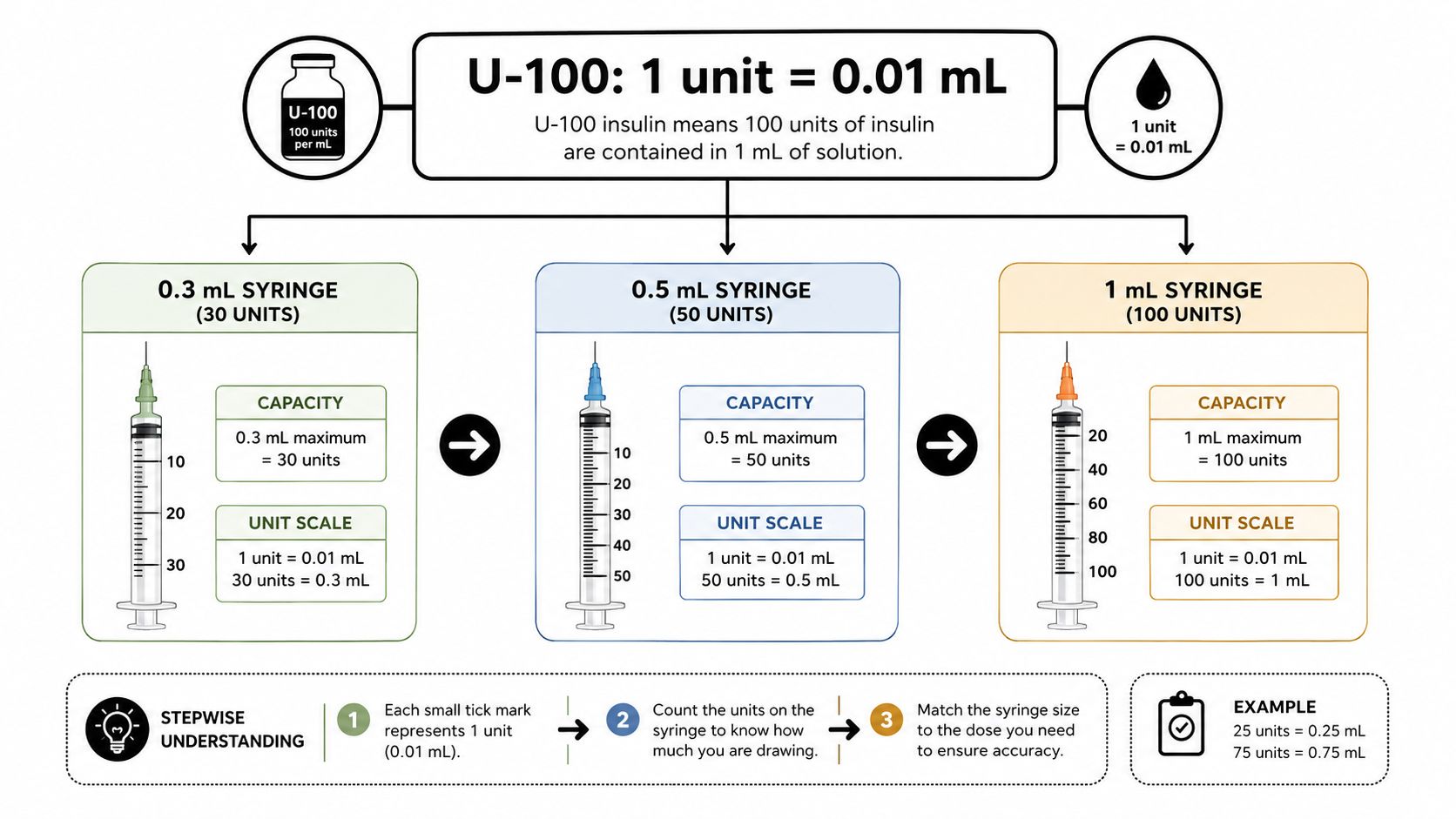 A guide explaining U-100 insulin measurements and capacity differences between 0.3 mL, 0.5 mL, and 1 mL syringes.