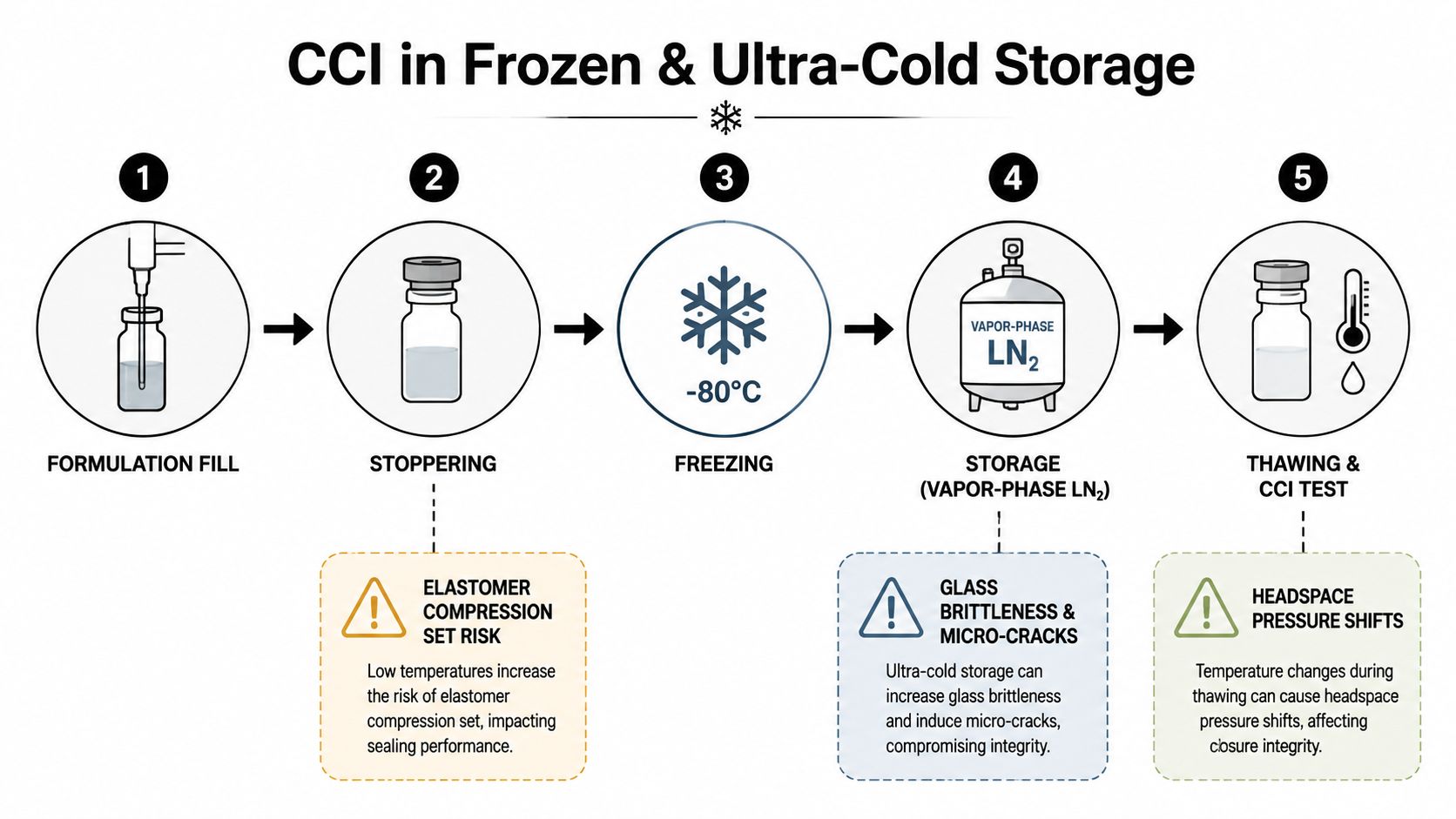 A five-step process diagram illustrating container closure integrity challenges during frozen and ultra-cold pharmaceutical storage.
