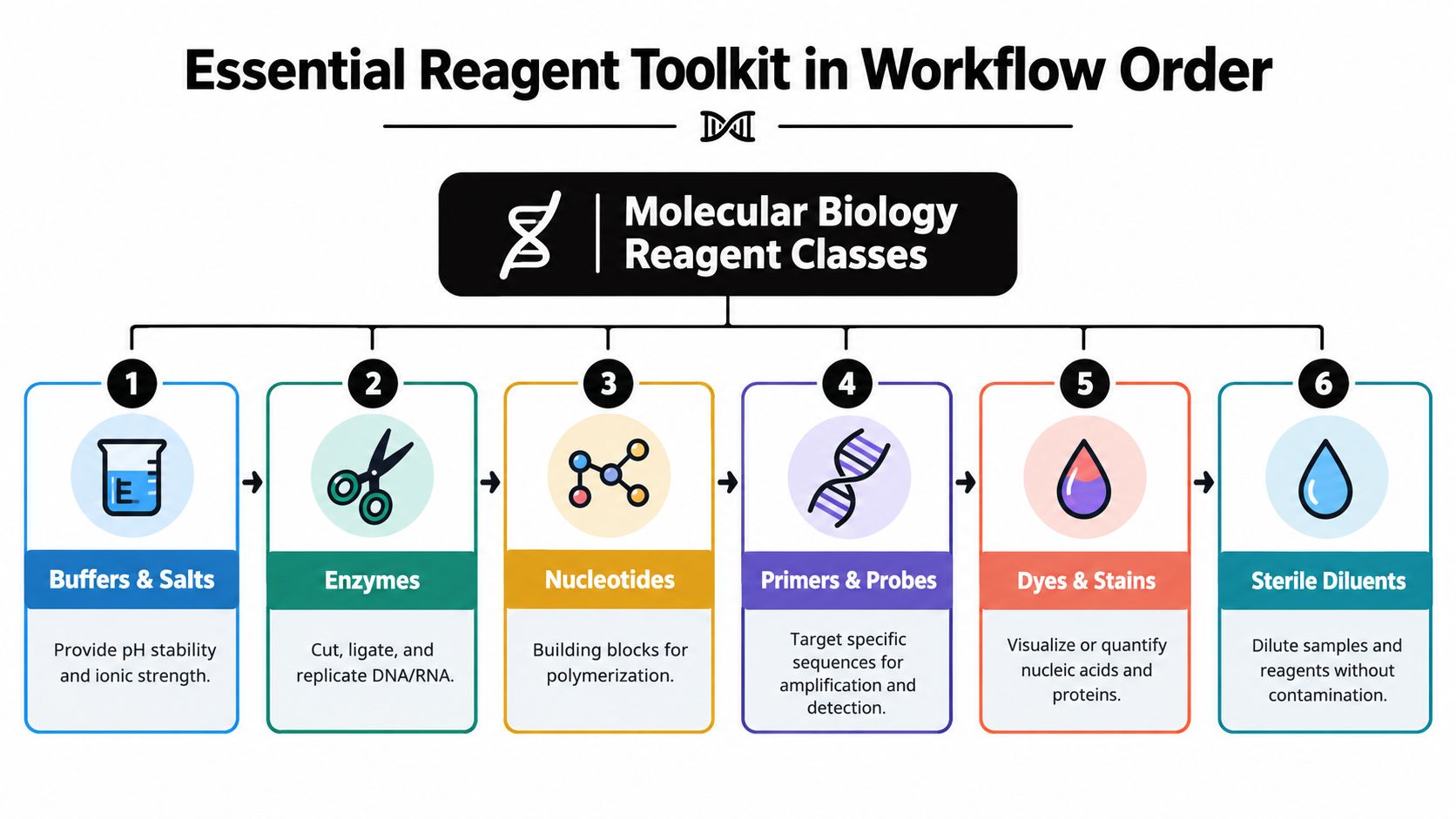 A diagram illustrating the six essential reagent classes in a molecular biology workflow, including buffers, enzymes, and nucleotides.